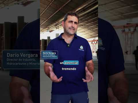 🌲 Tecnología para impulsar una nueva etapa en el sector foresto-industrial