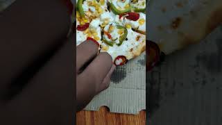 VERY LATE PIZZA DELIVERY BY ZOMATO AND ALSO FOUND ANT IN PIZZA VERY POOR PAKAGINGOR QUALITY OF PIZZA