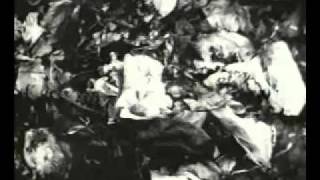 Milla Jovovich - The Gentleman Who Fell