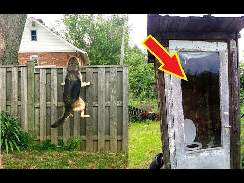 Random Funny And  Awesome Pics Video