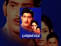 Sri Rajeswari Vilas Coffee Club Full Length Movies Krishna Jayapradha