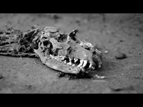 ZEIT - Verloren (OFFICIAL MUSIC VIDEO)