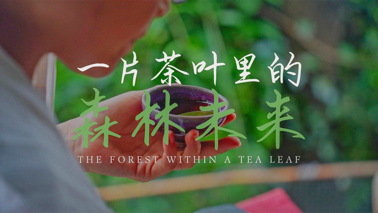 The Forest Within a Tea Leaf