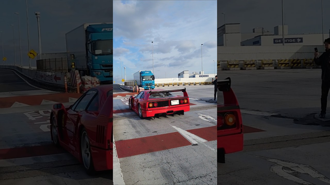 f40lm辰巳PA #f40 #Ferrari