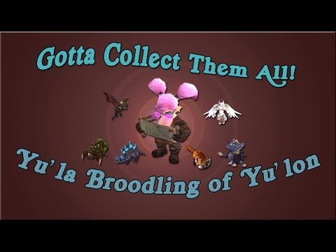World of Warcraft Pet Battles: Gotta Collect Them All! Yu'la Broodling of Yu'lon