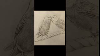 ツンツンし合ってるインコのスケッチ #お絵描き