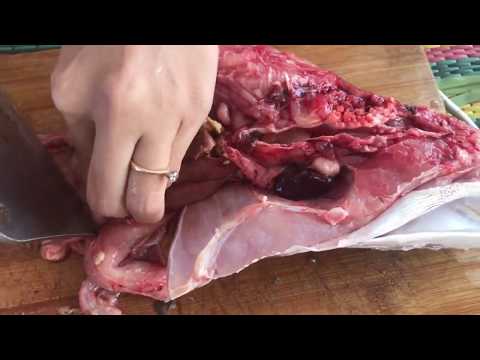 Primitive Cooking: Soup Snakehead is Popular Food