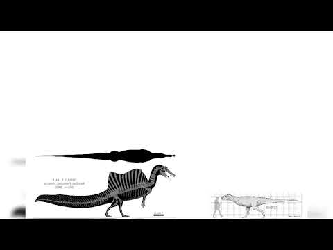 Spinosaurus And Rajasaurus Size Comparison