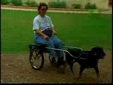 Breed All About It - Working Group