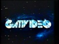 ID Gativideo ID Walt Disney Home Video 1993