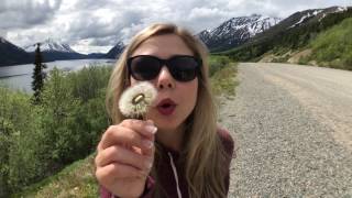 Honeymoon in Alaska (extended edition)
