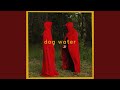 dog water