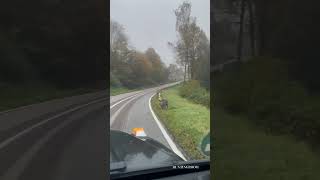 Leute! Das ist viel zu krass!!! Was hättet ihr getan? 😳 #keiler #wildboar #wild  #animals #funny