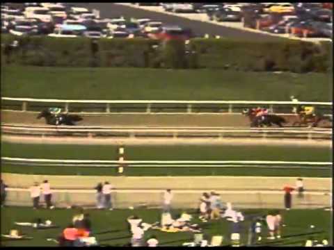 1990 San Antonio Stakes   CRIMINAL TYPE