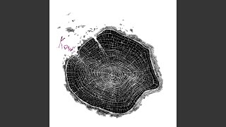 Shadowland - King of Pride Rock