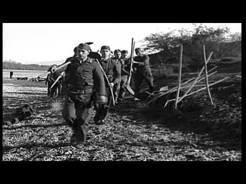 Chancellor Engelbert Dollfuss inspects a labor camp in Wildungsmauer,Austria. HD Stock Footage