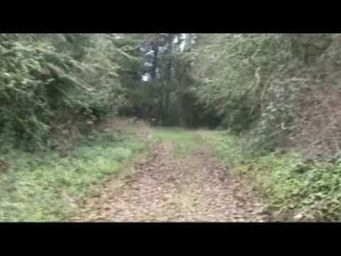 Lafayette Pioneer Cemetery Video 2