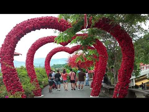 Wat Khao Thabaek - Um templo florestal em Chonburi, Tailândia / Vlog Review No.