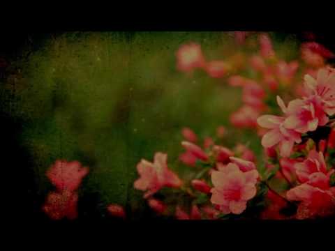 은혜로 교회 금요집회 - 공민 힐링 콘서트 05.20.2016