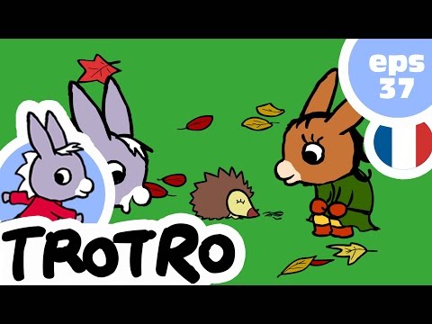 TROTRO - EP37 - Trotro et le herisson