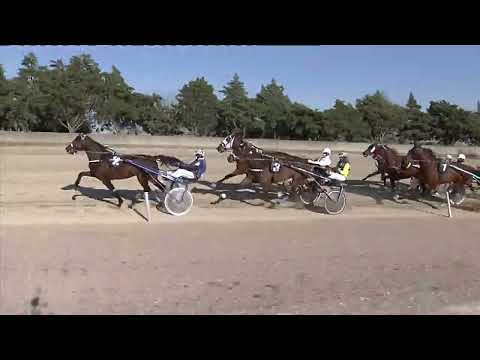 Ippodromo dei Sauri - 5° corsa del 24.3.2022