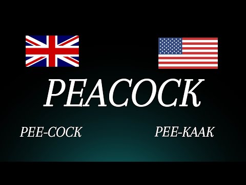 Learn How to Pronounce 'Peacock'! The Pronunciation Guide (Bird Pronunciation)