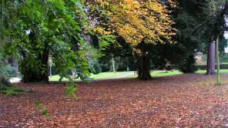 preview picture of video 'Markeaton Park in Autumn, Enjoy the colours of the season in this popular Derby park.'