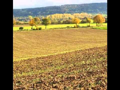 bestes Ackerland  6000 ha in SIBIU