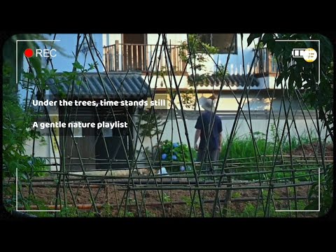 Under the trees, time stands still  — /A gentle nature playlist/ #105