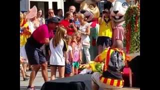 preview picture of video 'Sant Celoni.Celebració de la Diada Nacional de Catalunya 2014.Ofrena a la Senyera 1a part.'