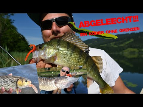 Abgeleecht!!! Ein Köder ohne Grenzen