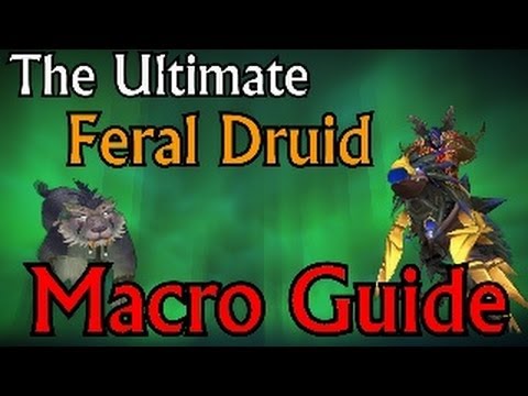 The Ultimate Feral Druid Macro Guide - Mists of Pandaria Patch 5.4.7