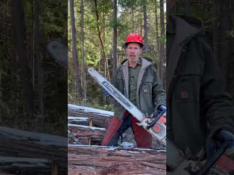 Why I Prefer Stihl Chainsaw Chain