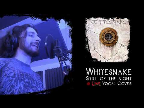 Whitesnake - Still of the night -  Live vocal cover #whitesnake #davidcoverdale #stillofthenight