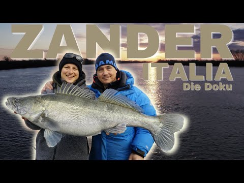 ZANDER Italia - The Documentary | 4K