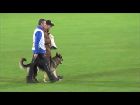 WUSV WK IPO 2016 Luc C