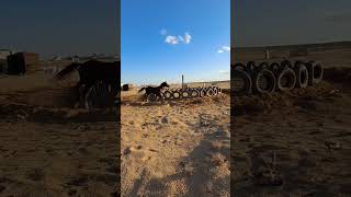 Treinando cavalo de corrida