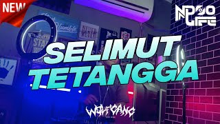 Download lagu DJ SELIMUT TETANGGA JUNGLE DUTCH BOOTLEG 2022 FULL BASS [NDOO LIFE] mp3