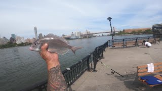 NYC-PORGY FISHING LONG ISLAND CITY 9/27/2025