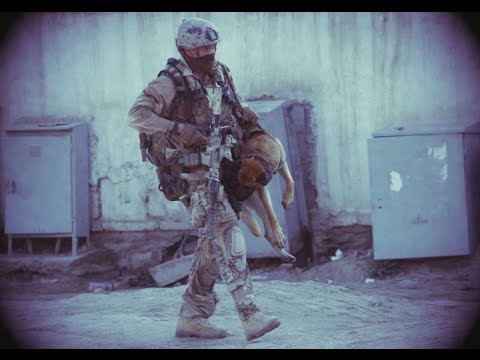 SAS and SBS | Who Dares Wins | 2016