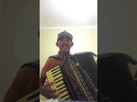 Zoma do Acordeon em Dormentes Pernambuco