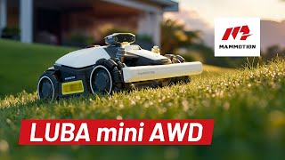 Mammotion LUBA mini 2 AWD 1000