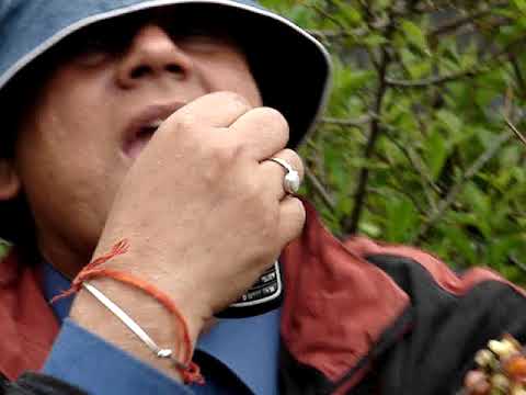 #Bhutan #Wild Berries hunting in dense Forest. #Forest, #Laba #Kalimpong area #Bhutan Border
