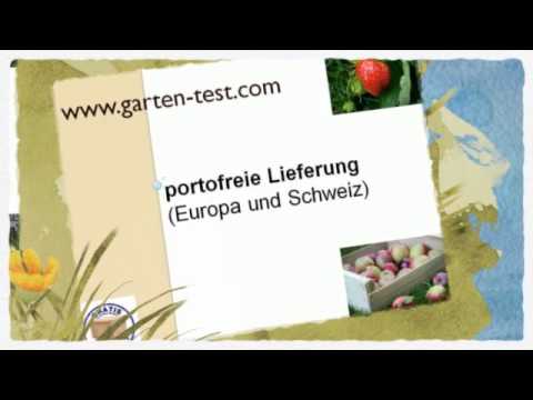 Erde im Garten selber testen