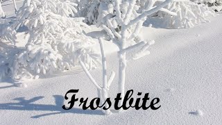 Frostbite (Michael Learns to Rock) Cover with lyrics by Keri.dk