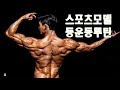 스포츠모델 준비중이면 꼭 보세요! 정대진선수의 실제등운동 루틴! 운동시간2시간ㄷㄷ