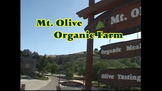 Mt. Olive Organic Farm, Paso Robles, CA USA