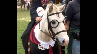 Ween The Stallion part 2