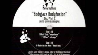Aquarhythms - Bodyjazz Bodyfusion (Rabbit In The Moon Heart Rmx)