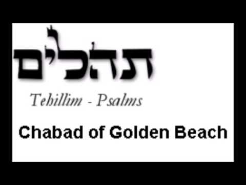 Psalm 135 (Tehillim 135)